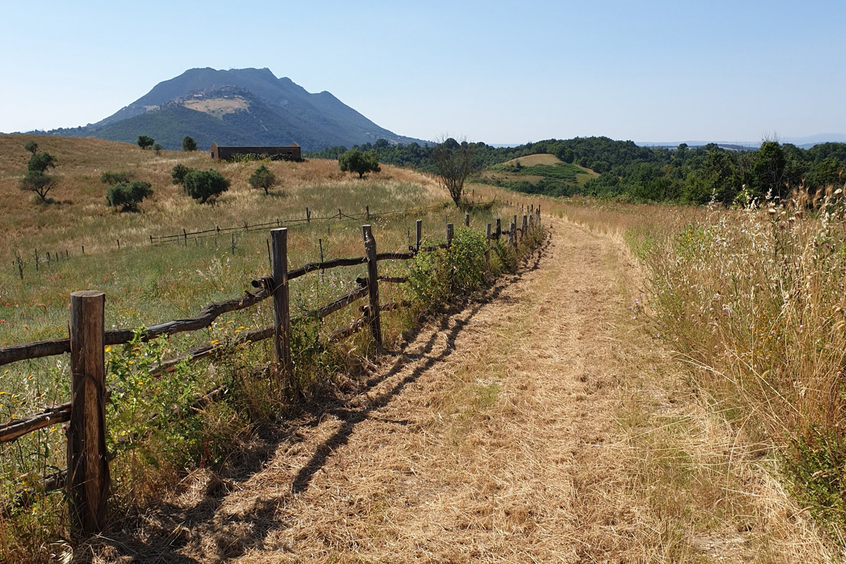 Monte Lino